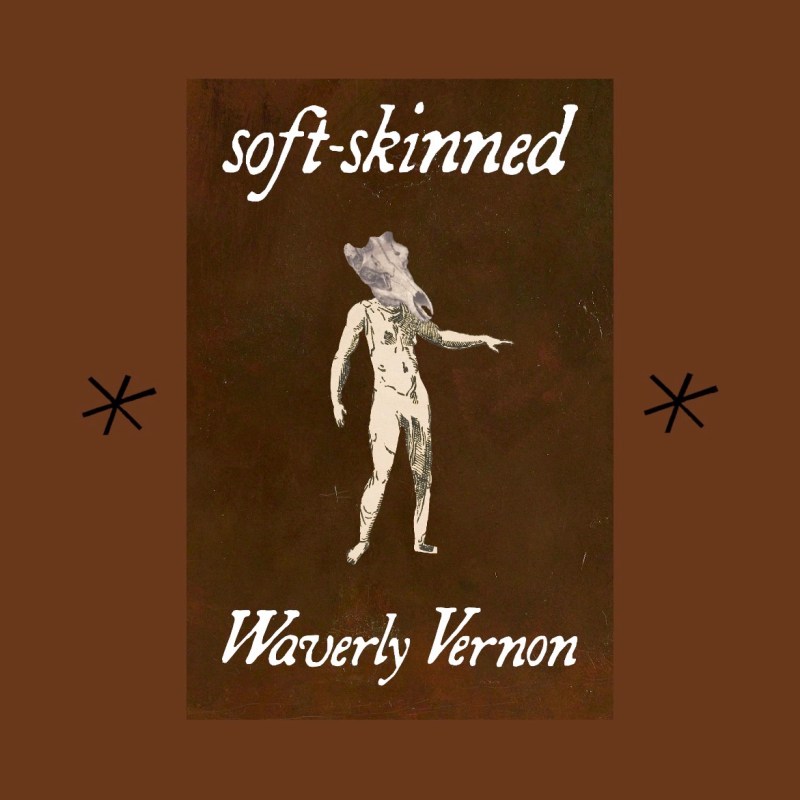 “soft-skinned” by Waverly Vernon is out&nbsp;now!!!